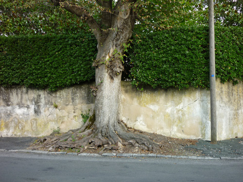 Saint-Jean-de-Luz