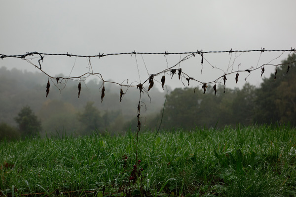 Charente