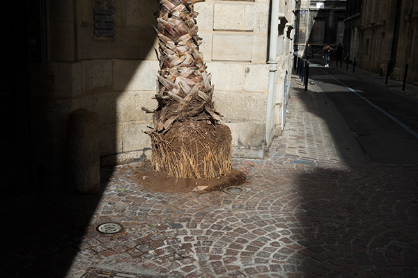 Bordeaux